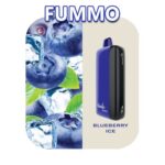 FUMMO INDIC 12000 PUFFS