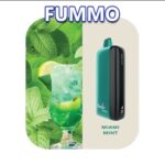 FUMMO INDIC 12000 PUFFS