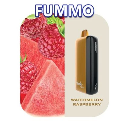 FUMMO INDIC 12000 PUFFS