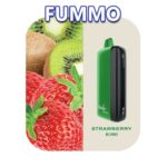 FUMMO INDIC 12000 PUFFS