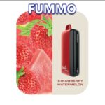 FUMMO INDIC 12000 PUFFS