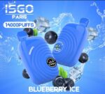 ISGO PARIS 14000 PUFFS