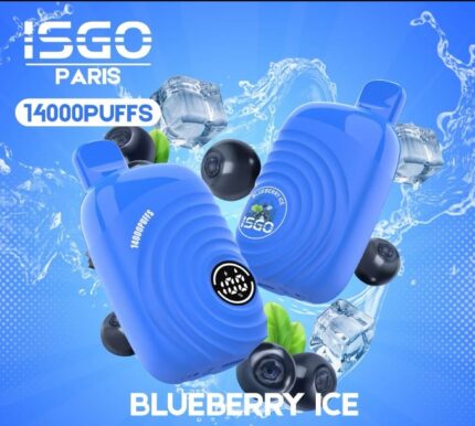 ISGO PARIS 14000 PUFFS