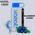 VOZOL STAR 12000 PUFFS