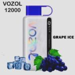 VOZOL STAR 12000 PUFFS