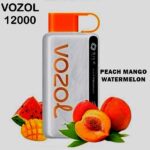 VOZOL STAR 12000 PUFFS