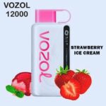 VOZOL STAR 12000 PUFFS