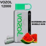 VOZOL STAR 12000 PUFFS